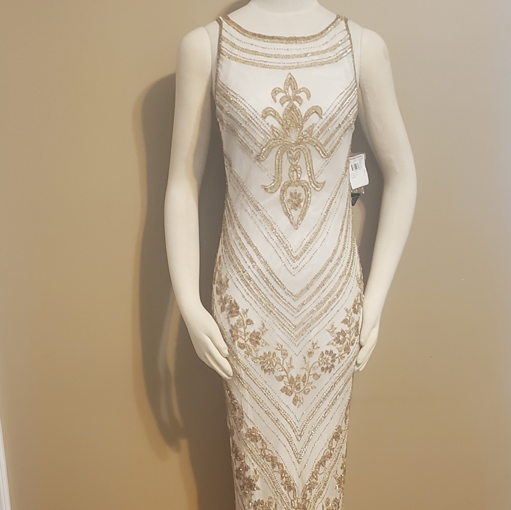 NWT Adrianna Papell Evening Dress